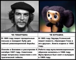 Гештальты Чебурашки и Че Гевары имеют шаржевое сходство. Совпадает и хронология полемики. В 1965 г. Че Гевара написал прощальные письма и покинул Кубу "для тайной революционной борьбы". В Боливии он был пленён и расстрелян 9 октября 1967 г. Эти драматические события отражались в прессе, их переживали советские граждане. Эрнесто Че Гевара вызывал горячую симпатию и сочувствие. Звучали версии, что на самом деле Че Геварушку спас друг Брежнев, и он тайно прибыл в СССР на корабле с кубинскими фруктами. Именно в 1965 г. Успенский пишет повесть "Крокодил Гена и его друзья", а в 1968 г. начинается работа над кукольным мультфильмом.