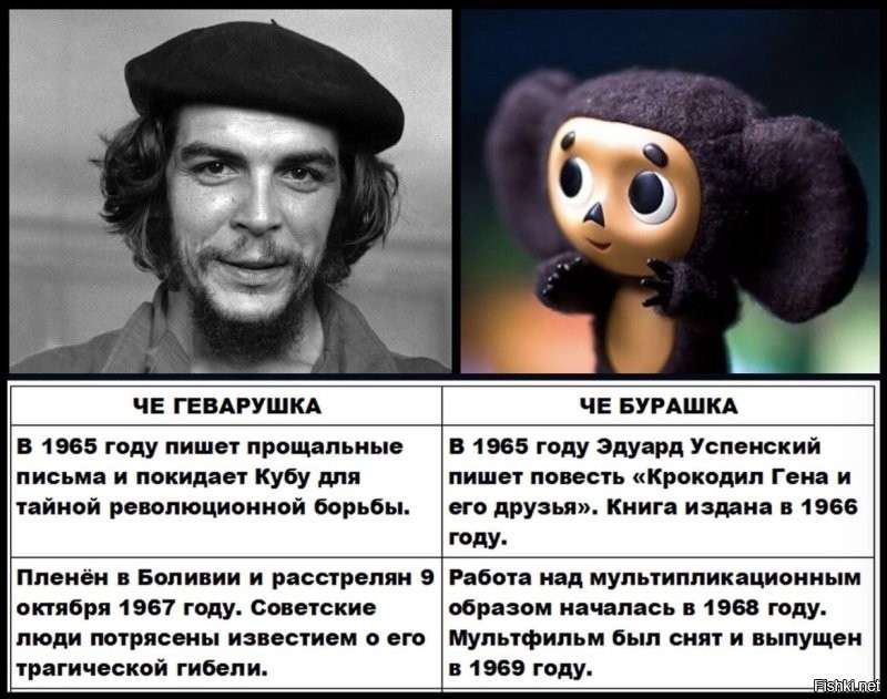 Гештальты Чебурашки и Че Гевары имеют шаржевое сходство. Совпадает и хронология полемики. В 1965 г. Че Гевара написал прощальные письма и покинул Кубу "для тайной революционной борьбы". В Боливии он был пленён и расстрелян 9 октября 1967 г. Эти драматические события отражались в прессе, их переживали советские граждане. Эрнесто Че Гевара вызывал горячую симпатию и сочувствие. Звучали версии, что на самом деле Че Геварушку спас друг Брежнев, и он тайно прибыл в СССР на корабле с кубинскими фруктами. Именно в 1965 г. Успенский пишет повесть "Крокодил Гена и его друзья", а в 1968 г. начинается работа над кукольным мультфильмом.