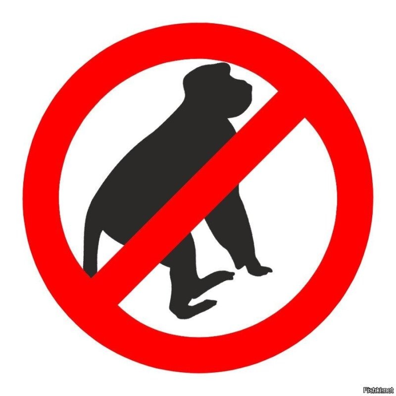 В Петербурге задержали банду мигрантов, грабивших людей под видом сотрудников МВД