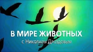 Что Дроздов говорил за кадром «В мире животных» и почему это вырезали?