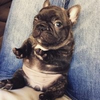 Буль типа говоришь)