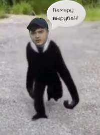 Смешные картинки