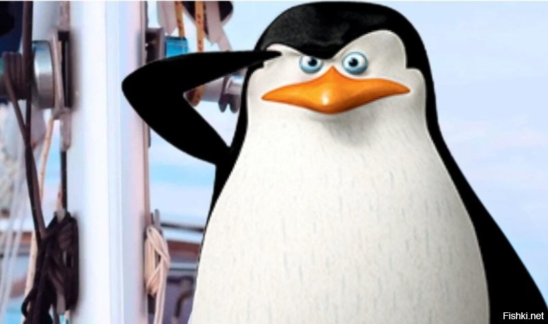 Шкипер вышла на связь спустя неделю после исчезновения в Бермудском треугольнике