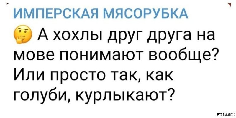 Поэтому Рада и законы принимает...   начириканные...