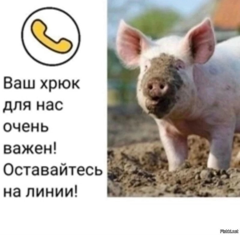 Политическая рубрика от&nbsp;NAZARETH за&nbsp;15.11.25. Новости, события, комментарии - 1931