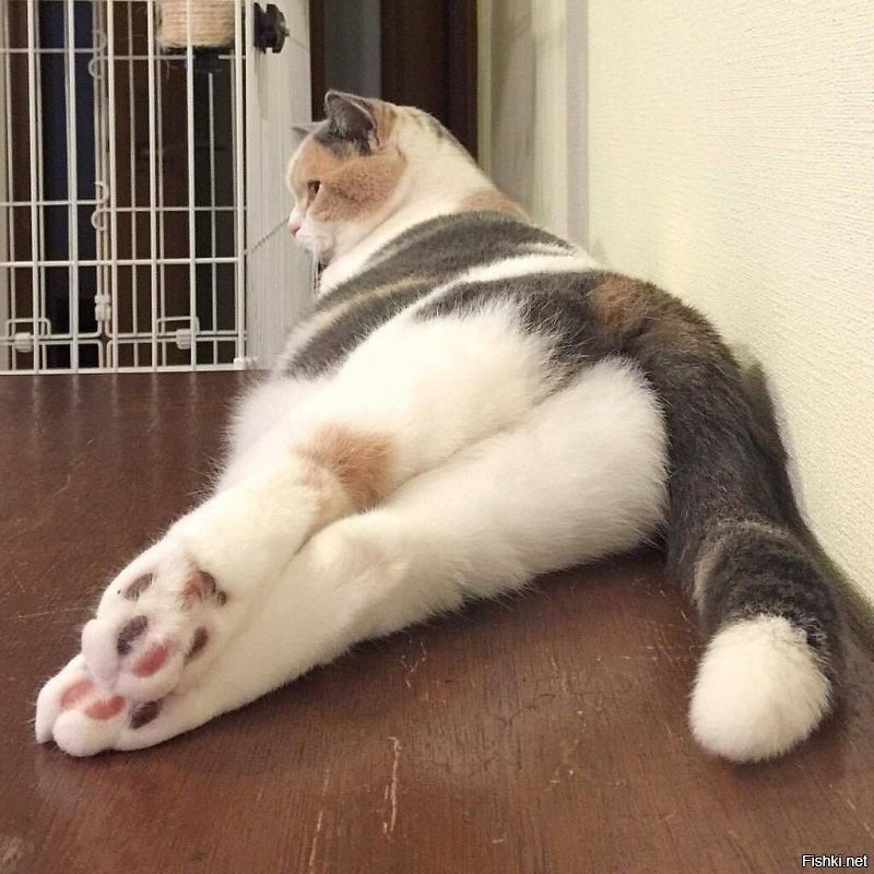 Доброе утро