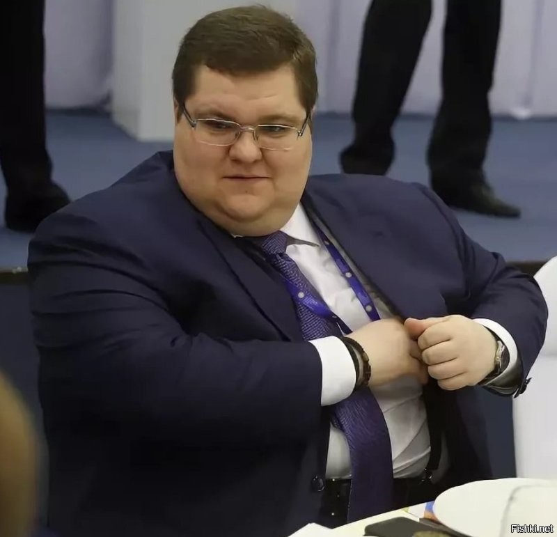 На Чайку похож