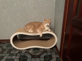 Осваивать новый наблюдательный пост