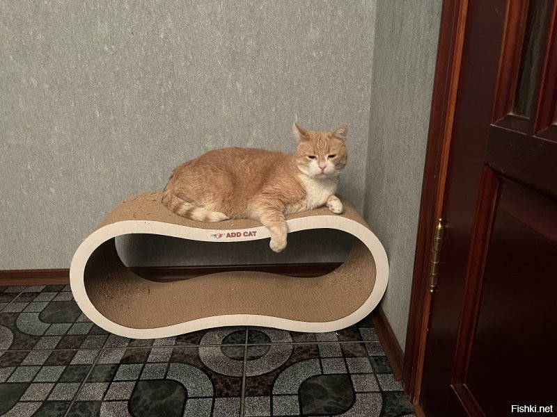 Осваивать новый наблюдательный пост