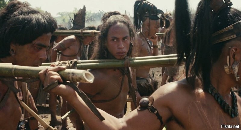 Солянка от 14.11.2025