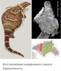 «Можно посмеяться над британскими учёными»: генетик РАН высмеял исследование о микропенисе Гитлера
