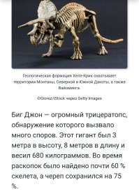 «Можно посмеяться над британскими учёными»: генетик РАН высмеял исследование о микропенисе Гитлера