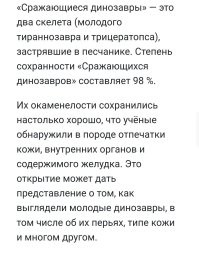 «Можно посмеяться над британскими учёными»: генетик РАН высмеял исследование о микропенисе Гитлера