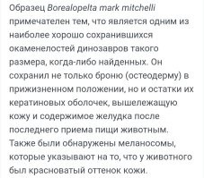 «Можно посмеяться над британскими учёными»: генетик РАН высмеял исследование о микропенисе Гитлера