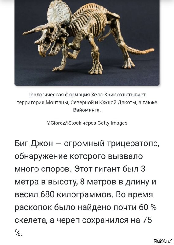 «Можно посмеяться над британскими учёными»: генетик РАН высмеял исследование о микропенисе Гитлера