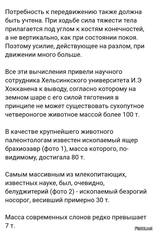 Ага. Мелкие динозавры, аккуратно сложили большие кости (камни) в виде гигантского скелета. 
Ага. Чтобы запутать учёных из далёкого будущего. 

Предел, конечно, есть. 
Но он больше, чем вы думаете.