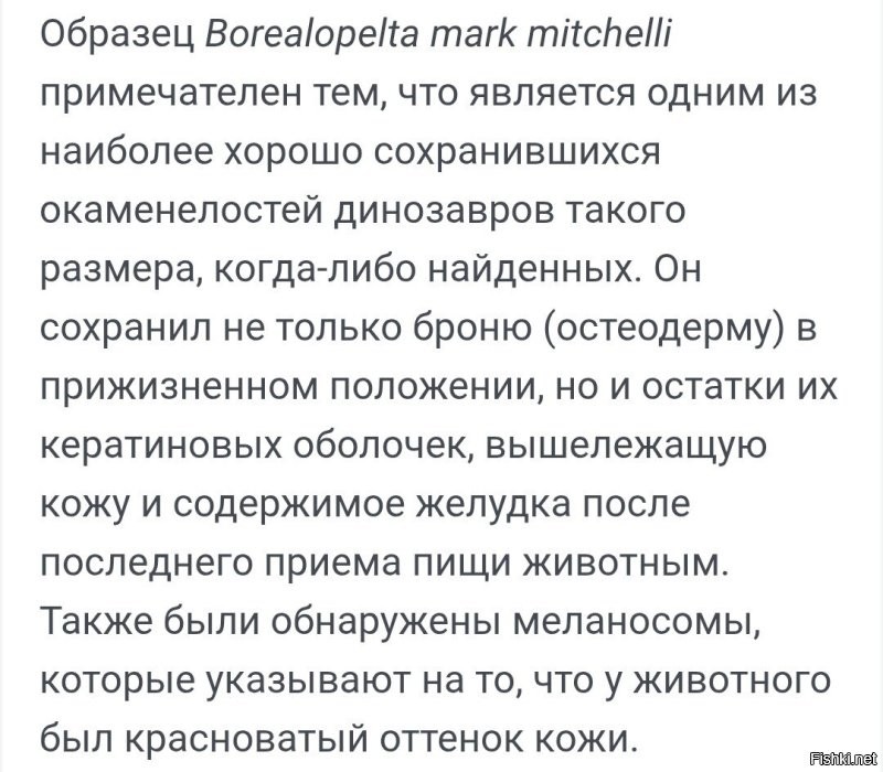«Можно посмеяться над британскими учёными»: генетик РАН высмеял исследование о микропенисе Гитлера