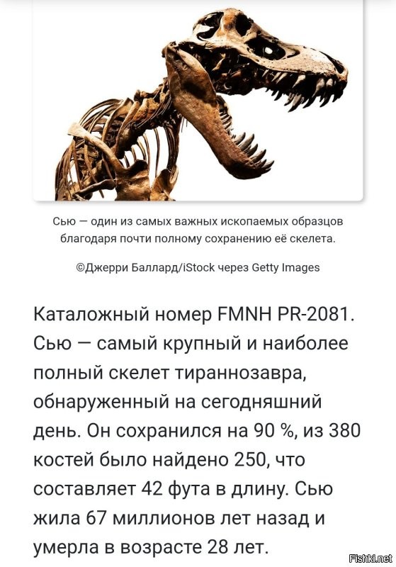 «Можно посмеяться над британскими учёными»: генетик РАН высмеял исследование о микропенисе Гитлера