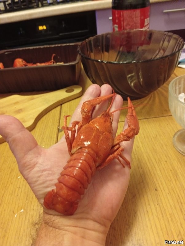 Не крупные, но и не скажу что мелочь. Средненькие.