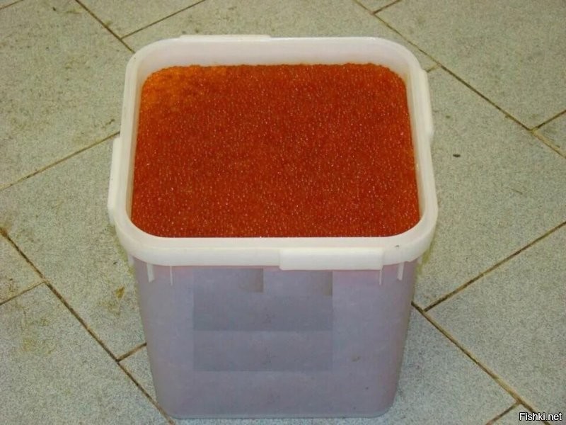 Товарищ. У нас семья хоть и большая, да и .... мы не щелкаем. Но имеем возможность такую банку иметь и не одну. Скажи пожалуйста. Как ак это еще хранить если не в заморозке?