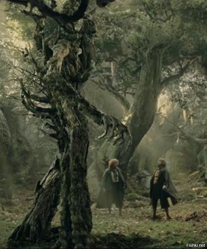 Солянка от 15.11.2025