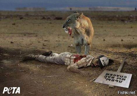 Веселые шутки-картинки