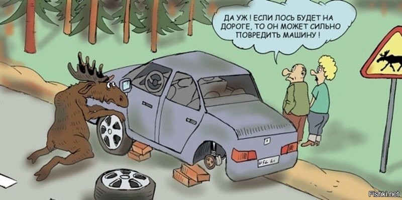 Ирландский лось