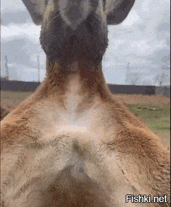 Вы не оценили все преимущества нашего банка....