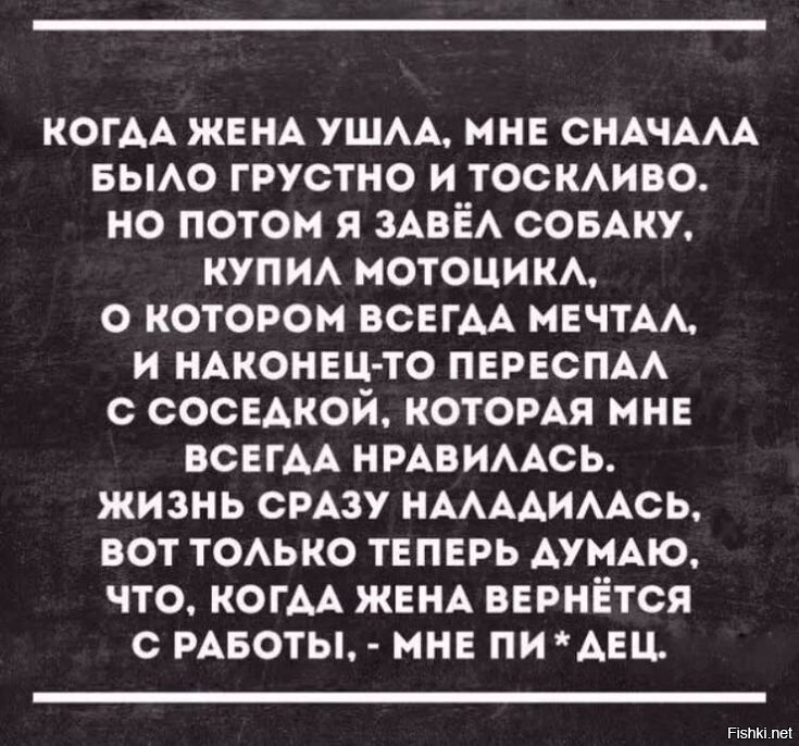 Солянка от 16.11.2025