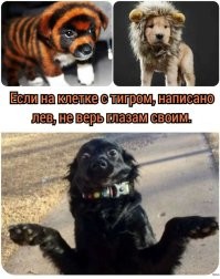 16 любопытных и забавных случаев, когда надпись на табличке говорила одно, а реальность показывала другое