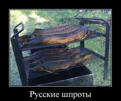 Тем же концом, и по тому же месту: таких шпрот в хохляндии нет, и не будет.