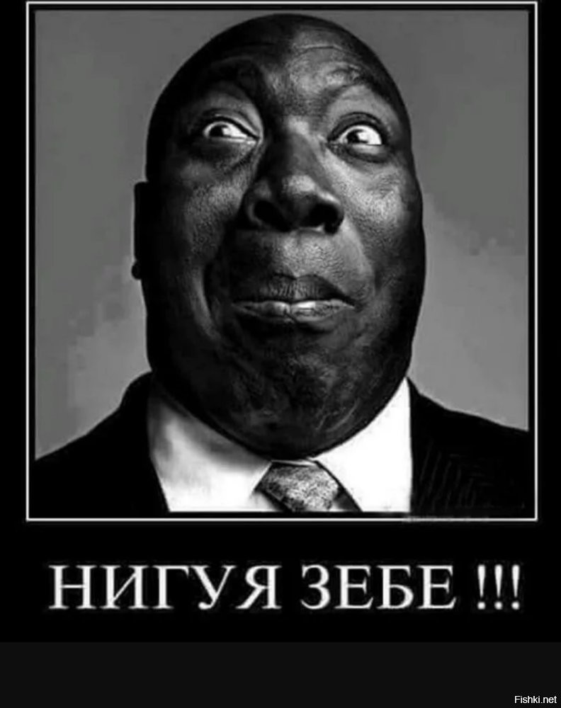 И вы голосовали за этих людей?