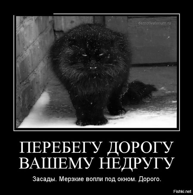 Привет от Дона Котлеоне