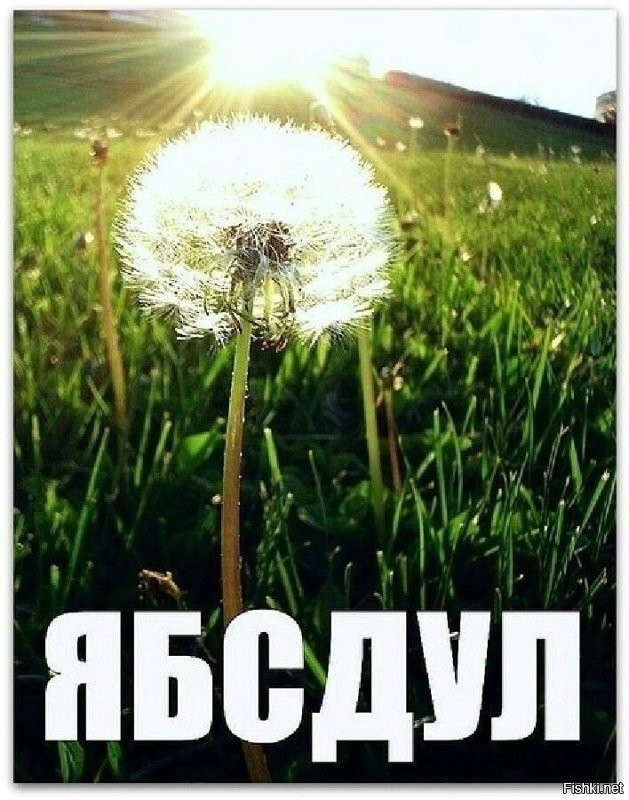 27 снимков, которые легко утолят жажду гармонии