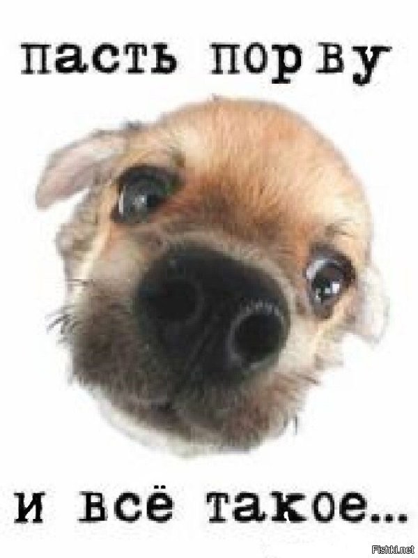 16 любопытных и забавных случаев, когда надпись на табличке говорила одно, а реальность показывала другое