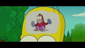 Их бл*ять нужно закрывать в отдельном помещении от всех нормальных людей. Вообще в башке пусто.