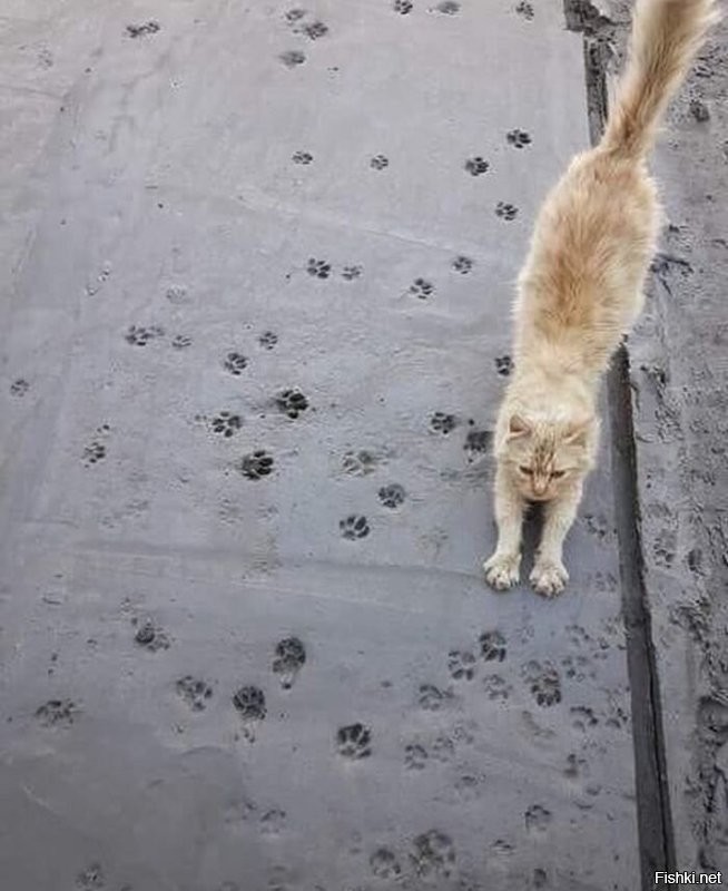 Тэгата - тэгата