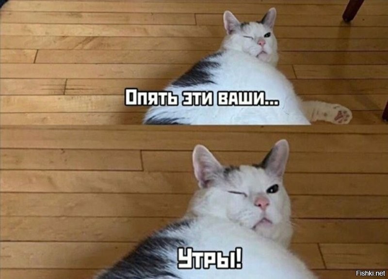 Осеннее настроение