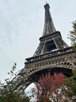 Бомжа бы туда не пустили и это факт . Ракурс башни это еще до того как ее забором обнесли и вид этот не от Сены а правей из переулка ближе к станции метро . Там сейчас что бы зайти тебя досматривают и твои сумки и куртки и тд .  Второе больше нет там киосков и кафешек на самой территории остались только рестораны на самой башне и воду и какие либо напитки не пронести . Был в Париже с 28 октября по 2 ноября .