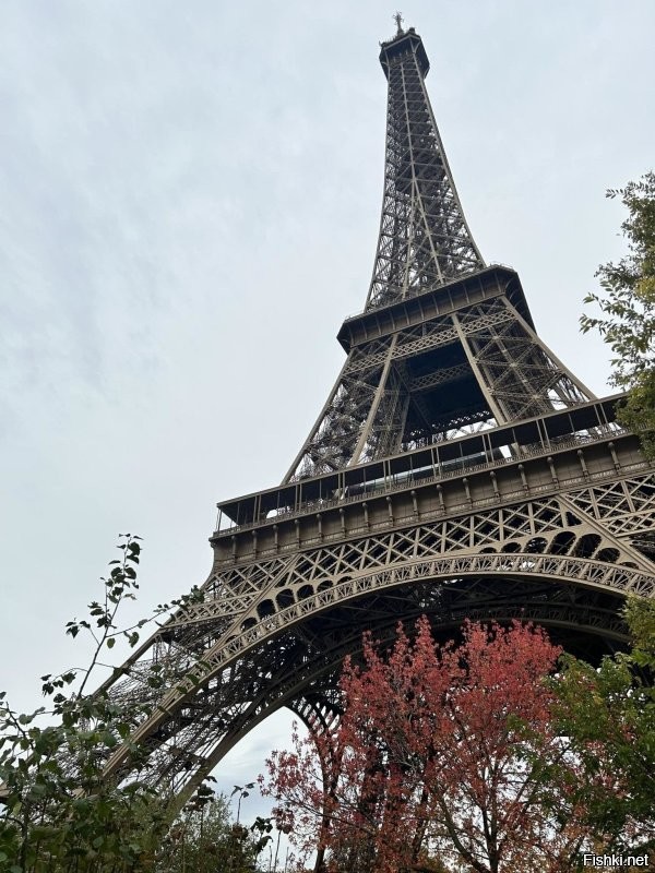 Бомжа бы туда не пустили и это факт . Ракурс башни это еще до того как ее забором обнесли и вид этот не от Сены а правей из переулка ближе к станции метро . Там сейчас что бы зайти тебя досматривают и твои сумки и куртки и тд . Второе больше нет там киосков и кафешек на самой территории остались только рестораны на самой башне и воду и какие либо напитки не пронести . Был в Париже с 28 октября по 2 ноября .