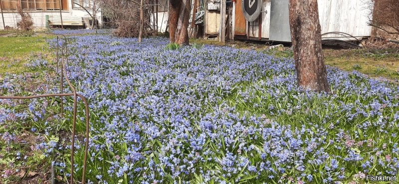 27 снимков, которые легко утолят жажду гармонии