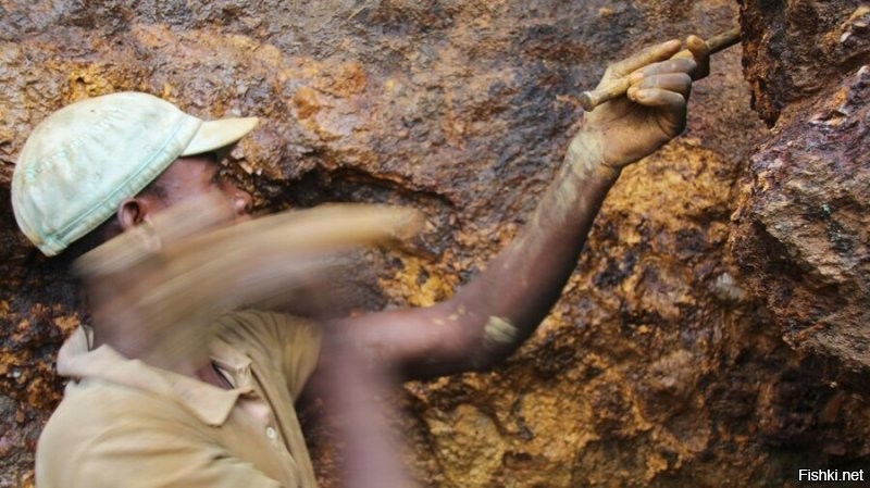 Да, по сути рабский труд за еду..