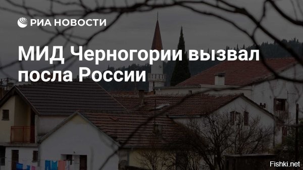 МИД Черногории вызвал посла России из-за его слов об отправке солдат на Украину



МИД Черногории вызвал российского посла Александра Лукашика в связи с его заявлением по поводу участия страны в миссии НАТО на Украине, сообщает RTCG.

Поводом стало заявление посла по поводу участия черногорских солдат в миссии НАТО на Украине. Подгорица сочла его «неприемлемым вмешательством во внутренние дела»

На прошлой неделе парламент Черногории одобрил отправку солдат для участия в миссии альянса по помощи Киеву в области безопасности и обучения (NSATU), она была создана в конце прошлого года и координирует поставки вооружений на Украину и обучение украинских военнослужащих.



Черногория много возомнила о себе. С какого перепуга черногорские солдаты будут участвовать в миссии НАТО на Украине? - Уничтожить нахер всех до одного