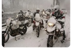 Отморозки.