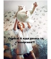 Кошкам тоже приходится несладко