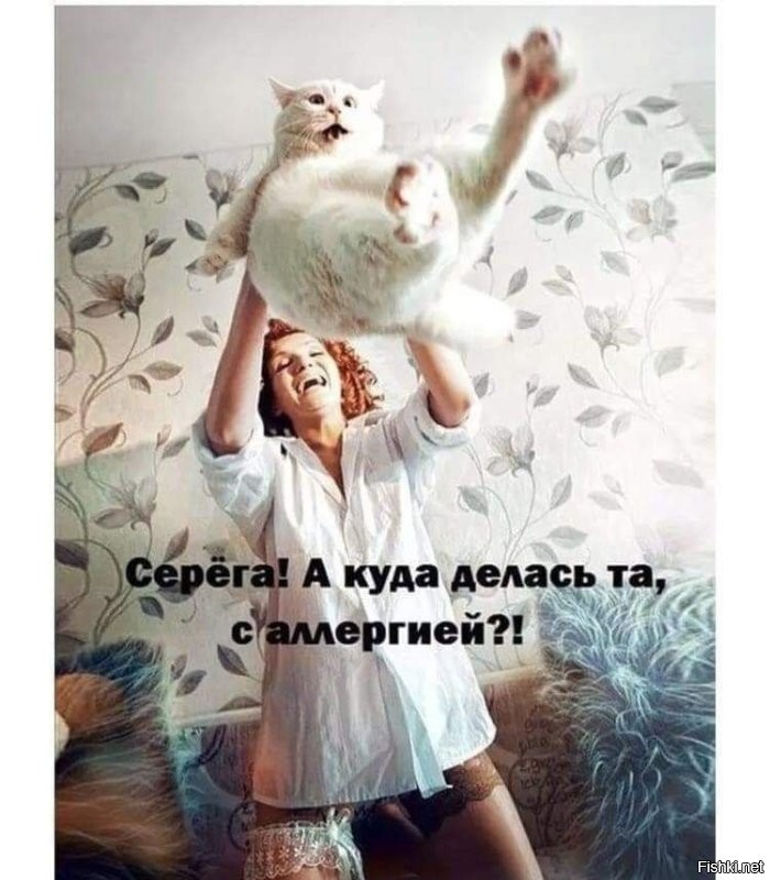 Кошкам тоже приходится несладко