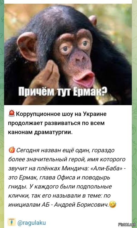 Политическая солянка. Часть 359