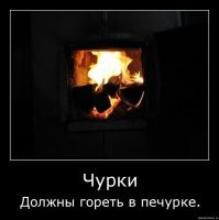 Полицейский поставил бородача на место