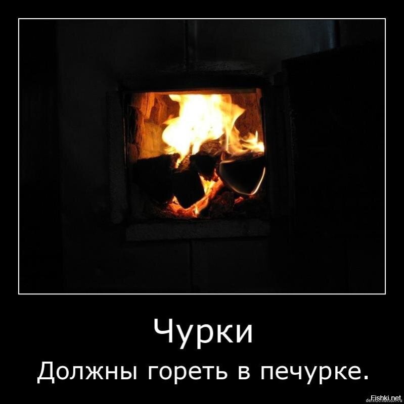 Полицейский поставил бородача на место