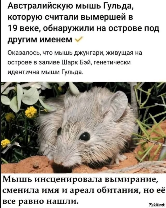 Все равно нашли....